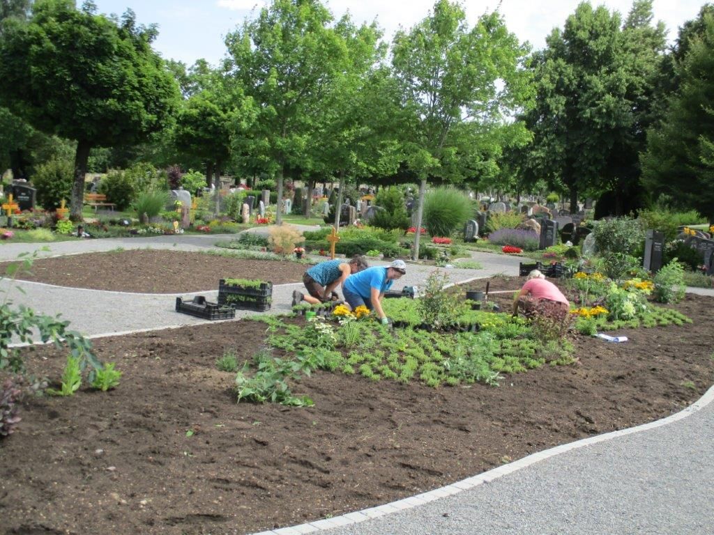 Friedhof BR Bepflanzung1