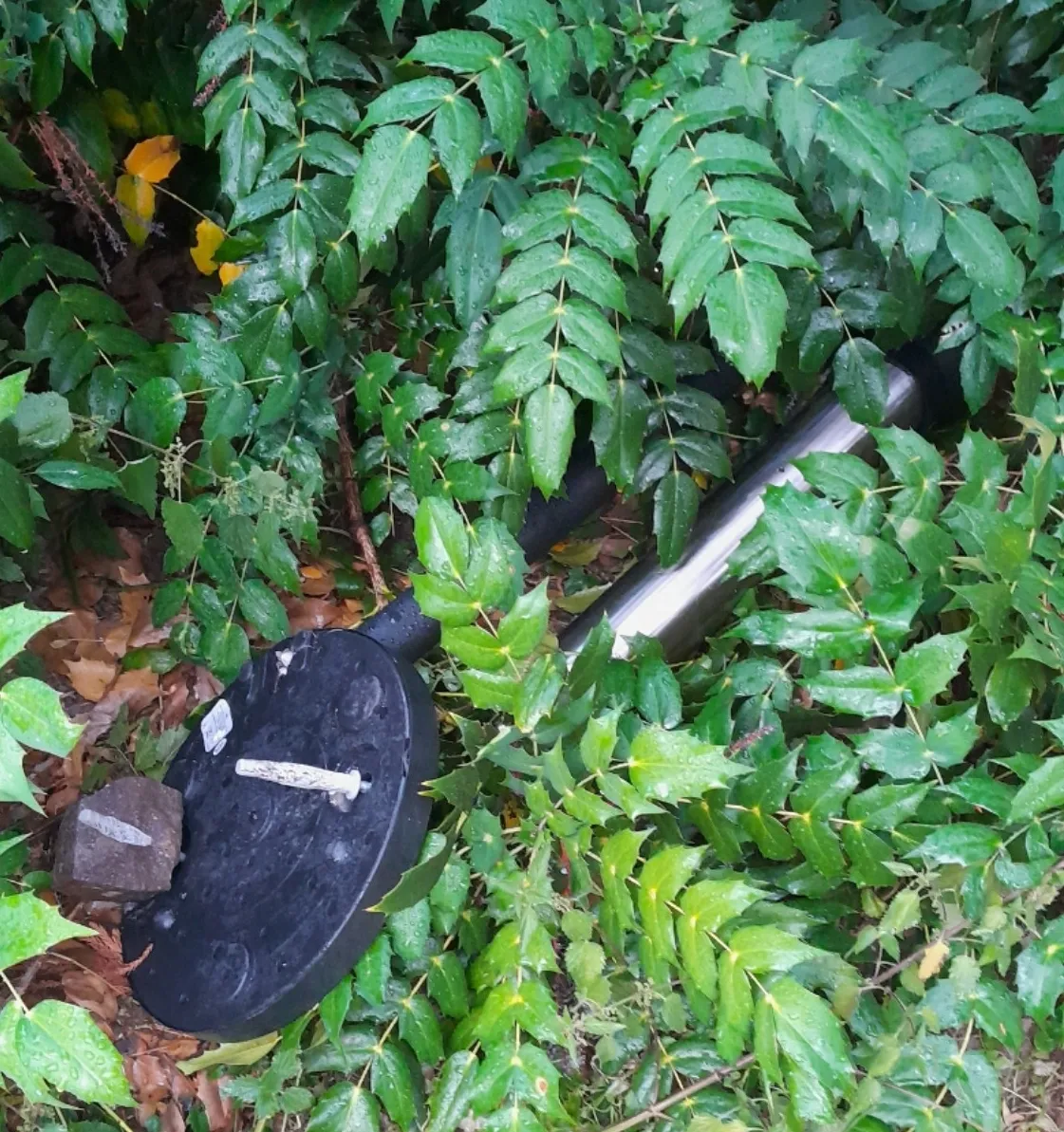 Kaum aufgestellt, schon ist er wieder zerstört: Aschenbecher beim Kneippbecken im Schlosspark (Foto: Bauhof Bad Rappenau)