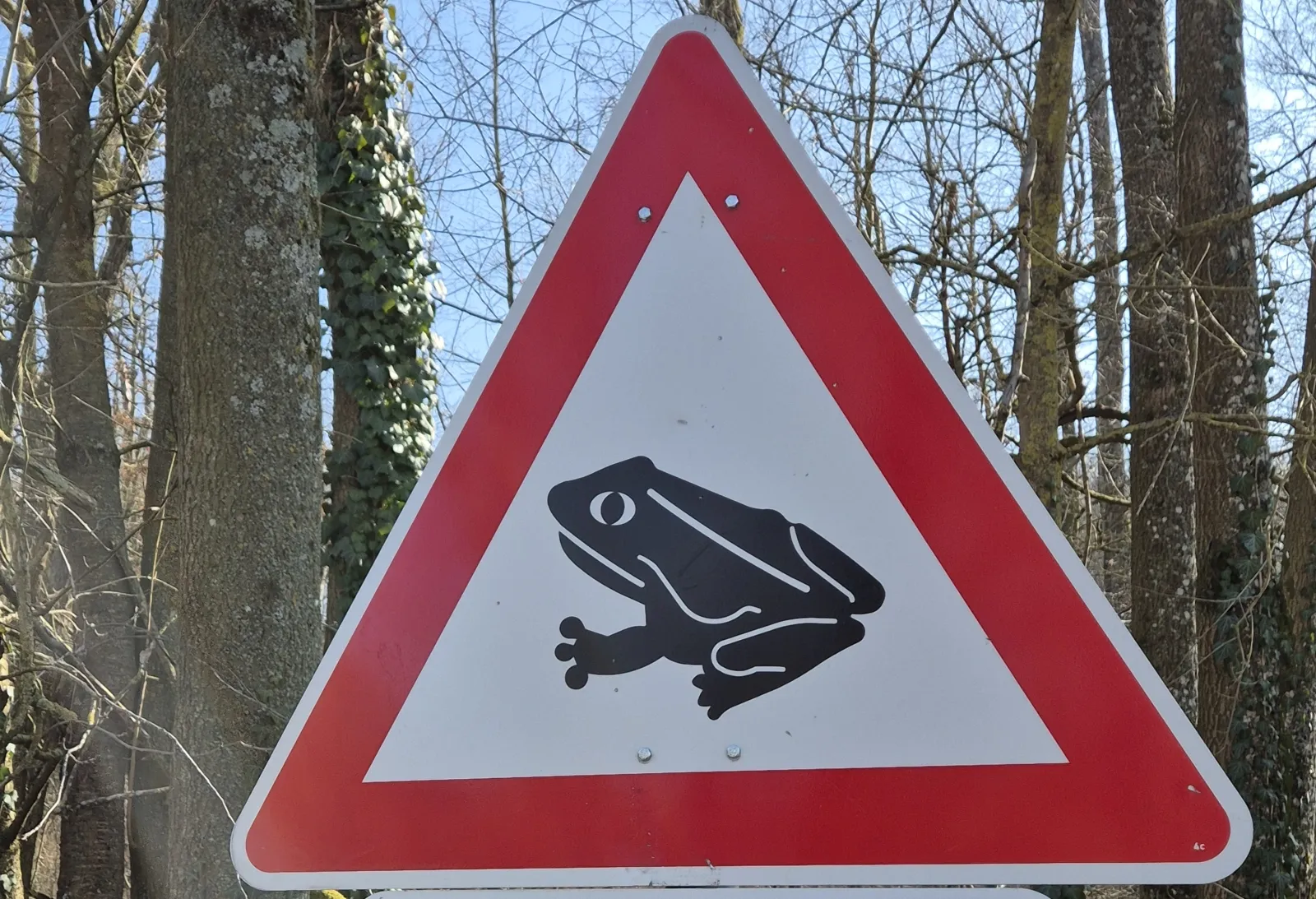 Verkehrsschild Kötenwanderung (Bild: privat)