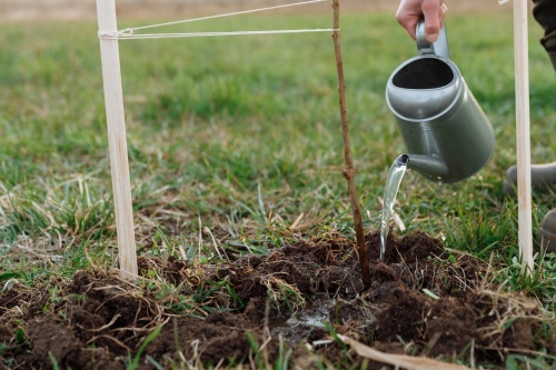 Sinnbild für Aktivität im Garten