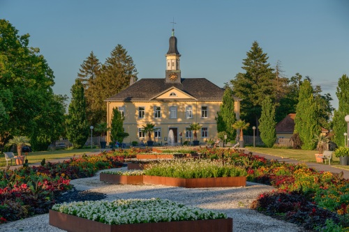 Salinenpark im Sommer