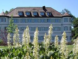 Wasserschloss Ansicht von Norden