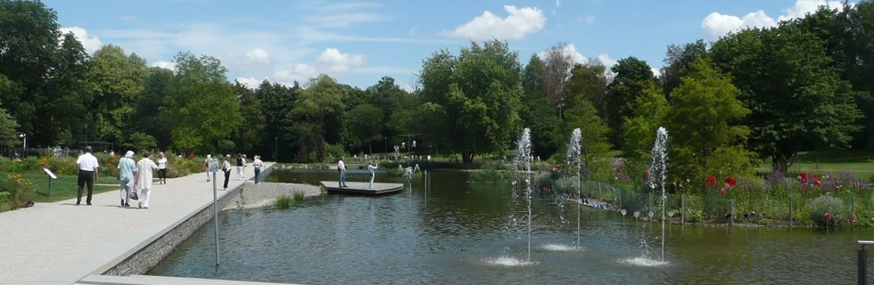 Kursee Bad Rappenau