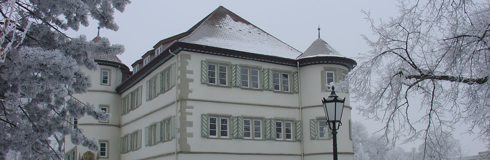 Wasserschloss Bad Rappenau