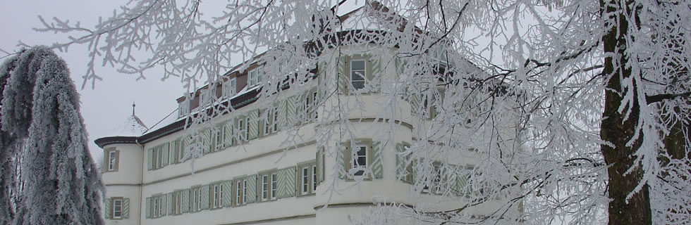Wasserschloss Bad Rappenau