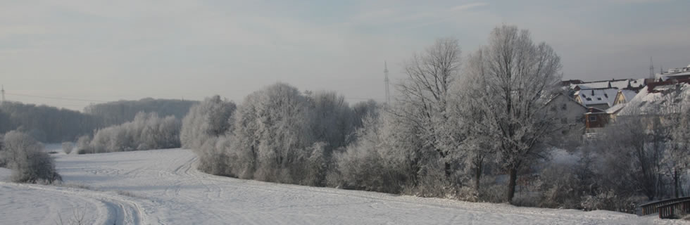 Winterblick