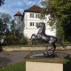 Stadtführung-Wasserschloss mit Pferd.JPG