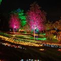 0731-Parkfest1.jpg